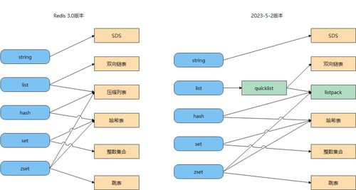 Redis常见数据类型及其应用场景 数据处理与存储支持服务