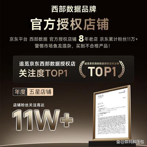 其产品在存储速度和数据处理能力上表现出色,特别适合进行大文件传输